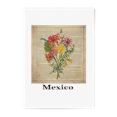 Vintage Floral Photographic Print, Antique Book Page Art, Botanical Illustration, Mexico Text, Unique Home Decor, Wall Art, Colorful Flowers - Tawshia